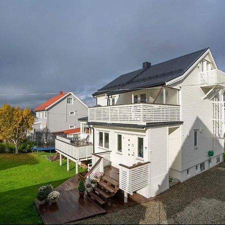 Tromso'S Best Location? City & Nature 5 Mins Away. Tromsø Exterior foto