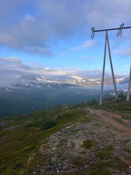 Tromso'S Best Location? City & Nature 5 Mins Away. Tromsø Exterior foto